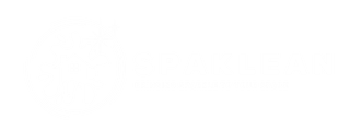 Spaklean Cleaning logo